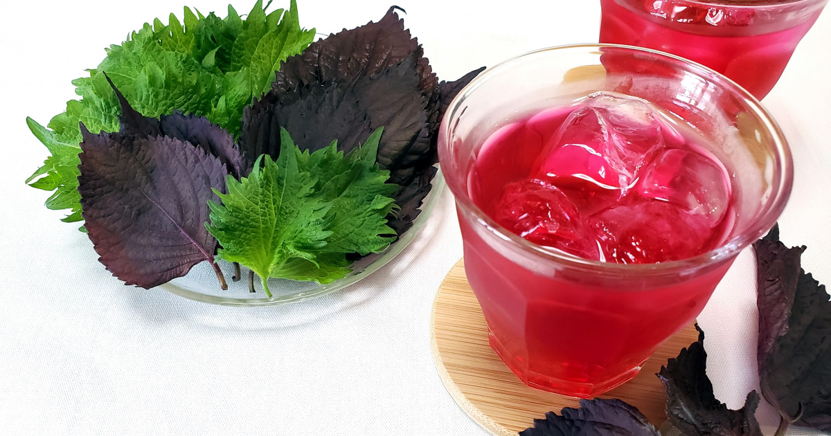 紫蘇ジュースを作る・爽やかに夏バテ防止 | ぽちたまCafe